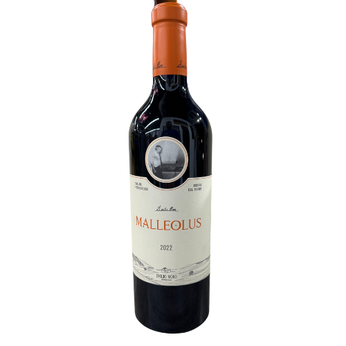 Fashion Bran Logo (9)